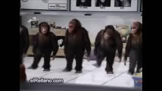 u a a u a a