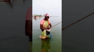 Hardworking Lady Catching Lot of Fishes for Food #fishing #fishingvideos #thoondilulagam #seafishing