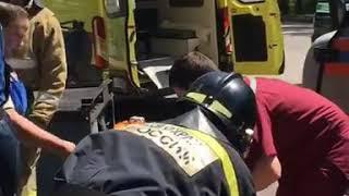 Избегал столкновения с автомобилем и врезался в дерево грузовик в Биробиджане (РИА Биробиджан)