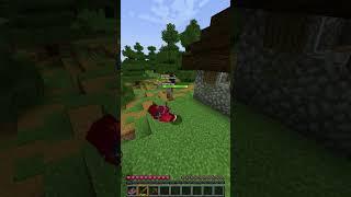 Weirdest Glitches I've Seen in Minecraft