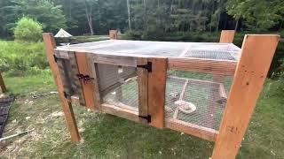 Easy Quail Pen Using Pallets | How to Make a Quail Coop Using Pallets | Quails for Egg