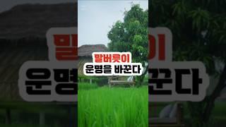 말버릇이 운명을 바꾼다 #명언 #인생명언 #좋은명언 #아침명언 #성공명언 #자기계발명언 #실패명언 #사랑명언 #동기부여 #shorts, #추천영상 #건강