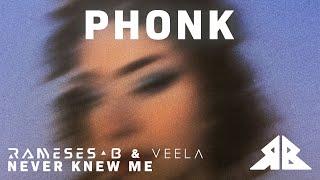 Rameses B, Veela - Never Knew Me