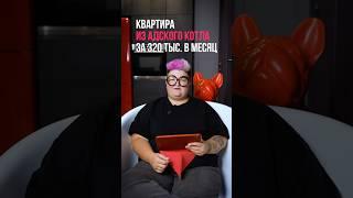 Квартира из адского котла за 320 тысяч в месяц!