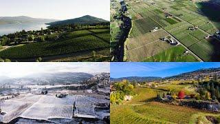 A Year in the Life of BC Winemakers: Four Seasons of Wine Farming