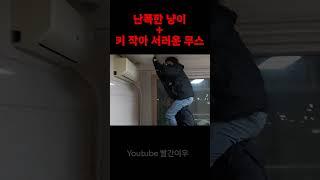 [당집귀] 난폭한 냥이 + 키 작아서 서러운 무스 #shorts #웃긴상황 #고스트헌터
