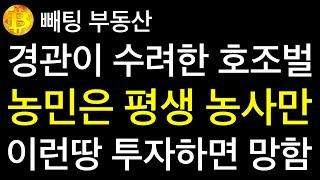 부동산 경관이 수려한 호조벌 농민은 평생 농사만 이런 땅 투자하면 망함