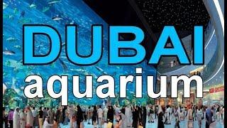 The Dubai Mall Aquarium in Max. HD 18+ minutes