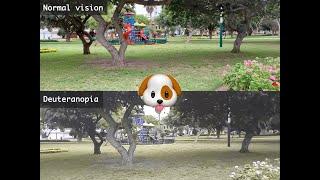 Dog's vision with Unity3D