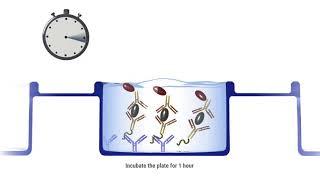 Single incubation ELISA in 90 minutes!