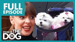 Extreme Puppy Pampering Disaster! | Full Episode | It's Me or The Dog