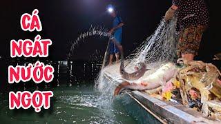 Ngày Hội Cá Ra Sông , Hốt Cặp Cá Ngát To Đùng | #66TV #fishing