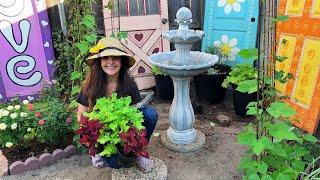 Garden Shopping & Potting Plants for Shade! 