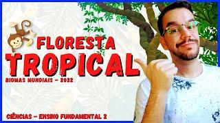 FLORESTA TROPICAL - Bioma mundial | Ciências 2022 | Aula completa com resumo | Fundamental 2 