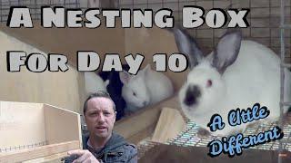 RABBIT NESTING BOX FOR DAY 10