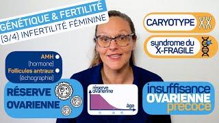 Les bases du bilan de fertilité : Réserve ovarienne et indications d’analyse génétique