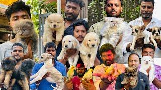 Cute pets vlog Chennai pets market | Broadway Pets Market Tamil HD video