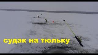 ТАМ ТРОФЕЙ.ЛОВЛЯ СУДАКА НА ТЮЛЬКУ. р.Волга