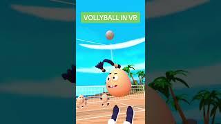 FREE QUEST 2 GAME! VOLLEYBALL IN VR! Quest 2 Sports games #quest2 #vr #metaquest2