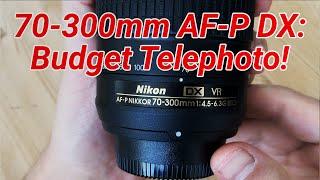 Best Nikon Telephoto Lens Under $150? Nikon AF-P 70-300mm F4.5-6.3 VR Review