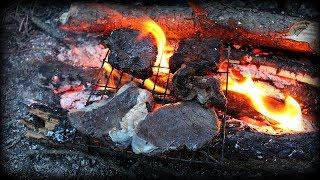 Bushcraft Cooking Moose Steak - With Doggy - HD Video