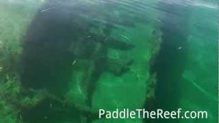 Germania Shipwreck - Half Moon Preserve