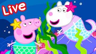 Les histoires de Peppa Pig  Épisodes Complets  Peppa Pig Français LIVE