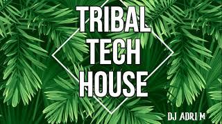 Tribal Tech House Mix ( DJ ADRI M )