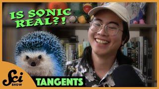 Nocturnal Animals with Tom Lum - Spooky Month | SciShow Tangents Podcast