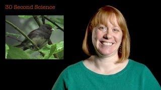 30 Second Science: Danielle Whittaker