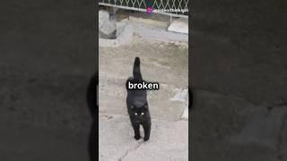 The Truth About Superstitions (and Why They Exist)