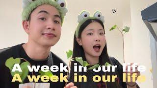 [daily vlog] a week in our life  cozy vlog in paris | bạch lưu dương