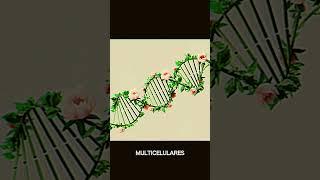  ¡Descubren un Nuevo Estado Entre la Vida y la Mu3ert3!  #CienciaFicciónReal