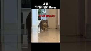 같이가자
