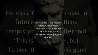 The Ultimate Stoic Quote Collection — BE UNSHAKEABLE 3