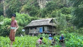 Beautiful Nepali Mountain VIllage Life of Nepal | Most Peaceful & Relaxing Village Life |BijayaLimbu