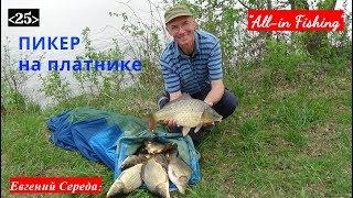 Пикер на платнике. "All-in Fishing". Вып. 25.