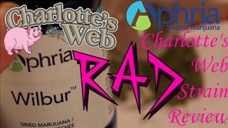 Charlotte's Web (Wilbur) by Aphria Inc. | Medical Marijuana / Cannabis Strain Review