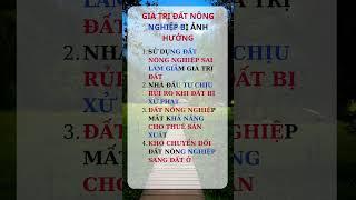 Chia sẻ kiến thức về bất động sản. #nhagiatot #bđs #dautubds #batdongsan #youtubeshost