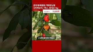 [맑은들해물밭] 백화점납품 신비복숭아, 1박스, 중대과 1kg