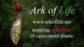 Ark of Life - Stopping Extinction of Carnivorous Plants