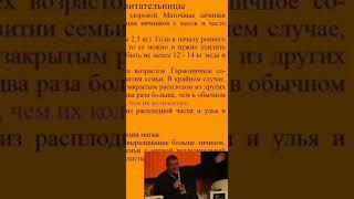 Про матки_  Самый важный фактор для семьи воспитательницы  #бакфаст #пчеловодство  #матководство