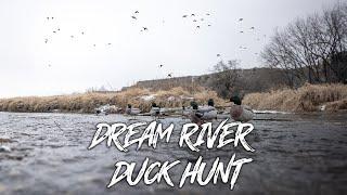 Beau Hunting - Freezing Cold River Duck Hunt!! "Thousands Of Mallards"