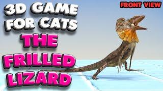 3D game for cats | The frilled lizard (front view) | 4K, 60 fps, stereo sound