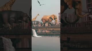 #animals #vfx #3d #shorts #ytshorts #tranding #viralvideo