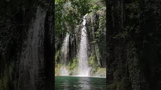 Suara Air Terjun dan Burung Kecil di Hutan Liar