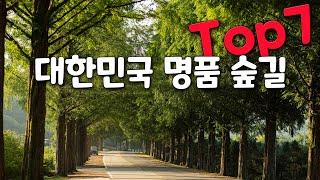 6월에는 여기에 꼭 가보세요. 우리나라 대표 명품 숲길 7곳만 모아서 소개해 드리겠습니다.