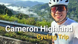 Cameron Highland Cycling Trip