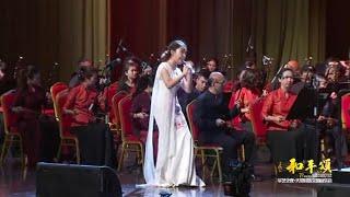 唢呐与乐队《山丹丹开花红艳艳》- 刘雯雯 Suona and the band "Shandandan Flowers Red and Bright" - Liu Wenwen