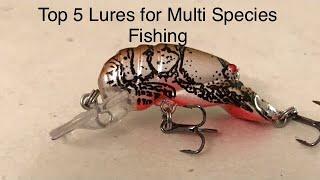 Top 5 Lures for Multi Species Fishing